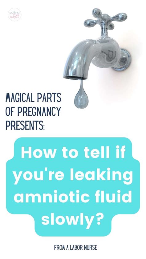 how to tell if your leaking amniotic fluid|Water Breaking: What Are the Signs of Leaking Amniotic Fluid ...